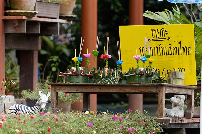 Talin chan-NOV13-147